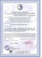 职业健康安全管理体系认证证书（正本英文版）
